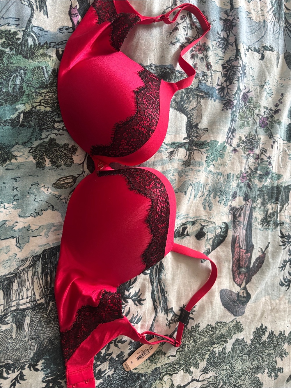 Victoria's Secret Bra Red and Black Lace 34D